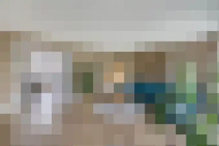 Primula 5 Ens thumbnail 25