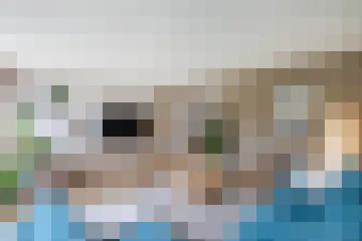 Primula 5 Ens thumbnail 26