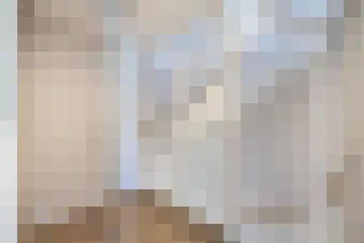 Primula 5 Ens thumbnail 38