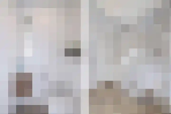 Primula 5 Ens thumbnail 39