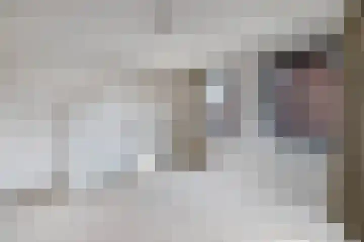 Primula 5 Ens thumbnail 41