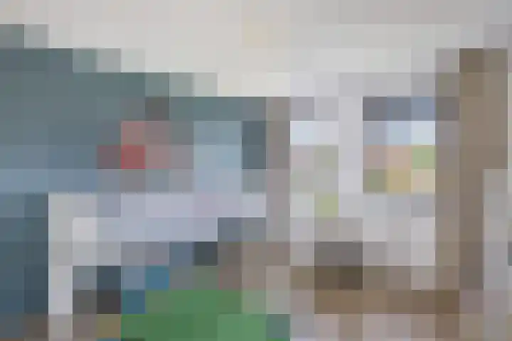 Primula 5 Ens thumbnail 44
