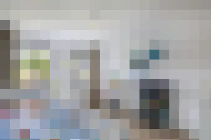 Primula 5 Ens thumbnail 45