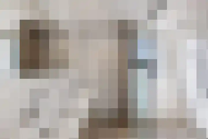 Primula 5 Ens thumbnail 47