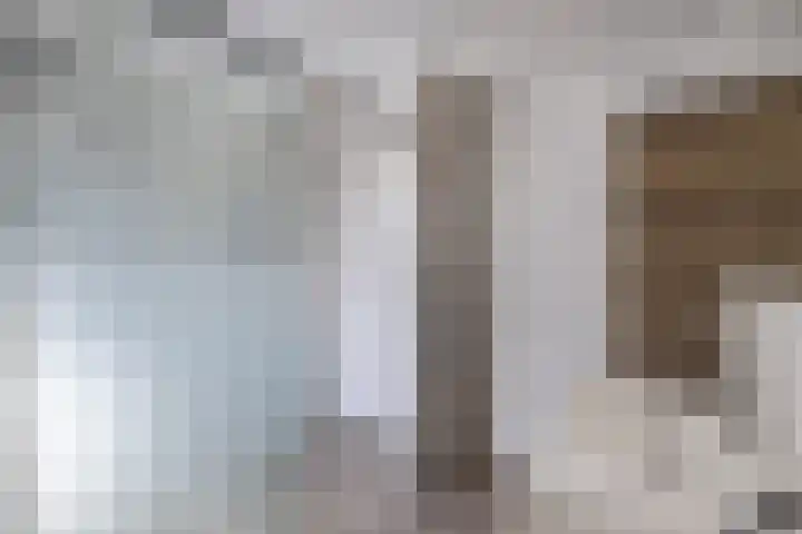Primula 5 Ens thumbnail 48