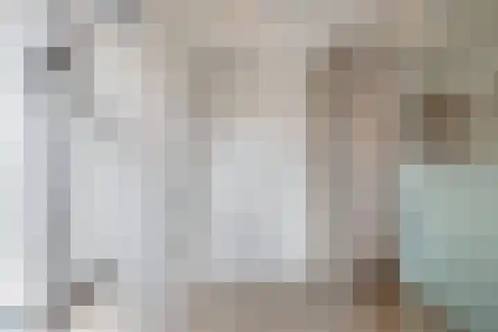 Primula 5 Ens thumbnail 49