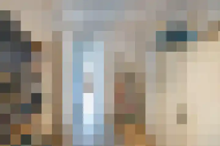 Primula 5 Ens thumbnail 50