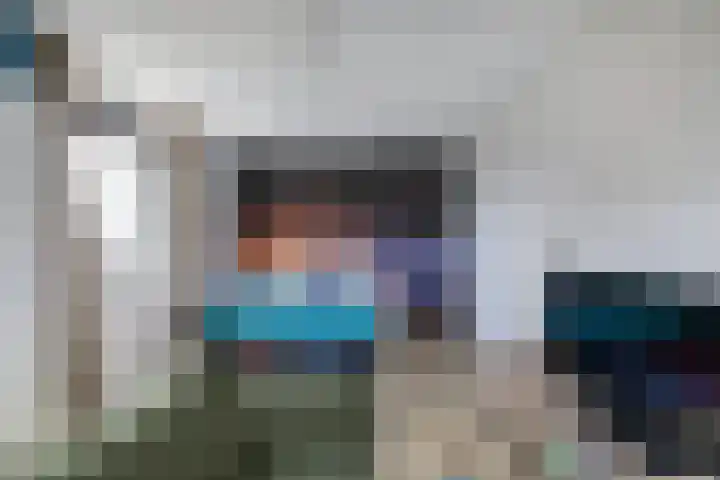 Primula 5 Ens thumbnail 52
