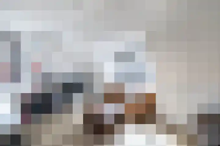 Primula 5 Ens thumbnail 53