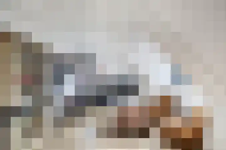 Primula 5 Ens thumbnail 54