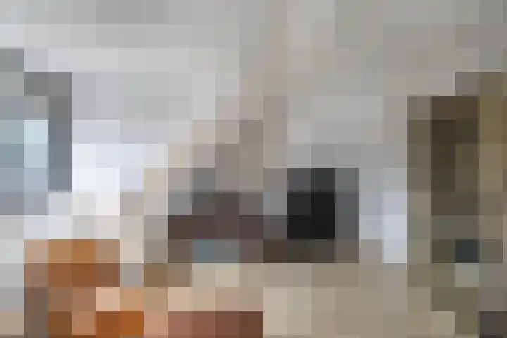 Primula 5 Ens thumbnail 55