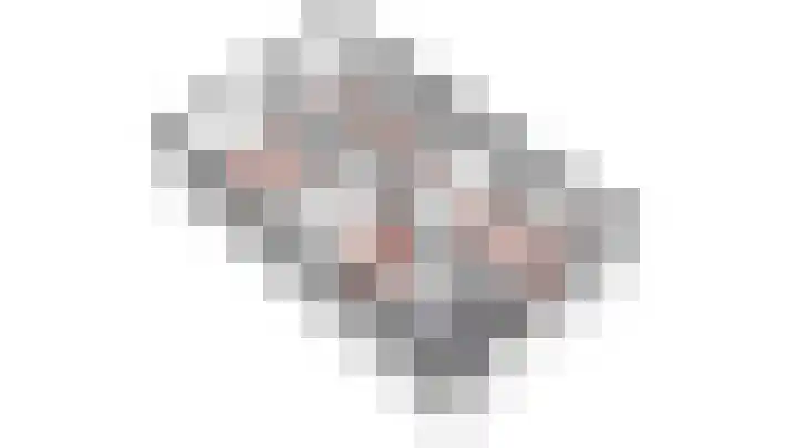 Primula 5 Ens thumbnail 59