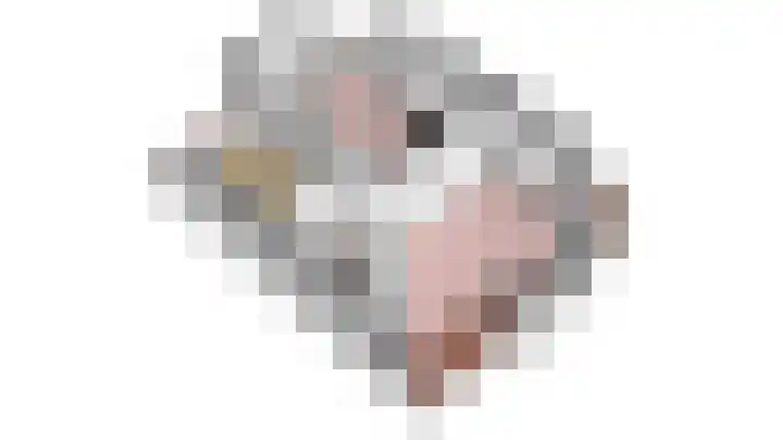 Primula 5 Ens thumbnail 61