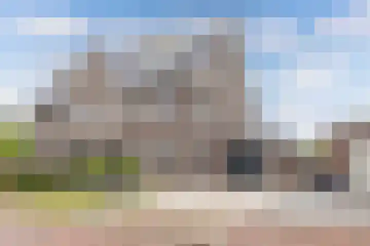 Primula 5 Ens thumbnail 64