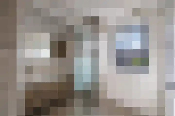 Primula 5 Ens thumbnail 7