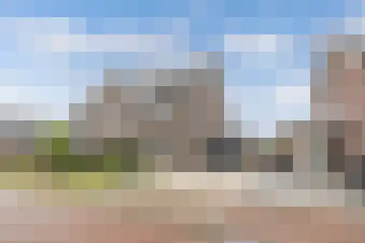 Primula 5 Ens thumbnail 9