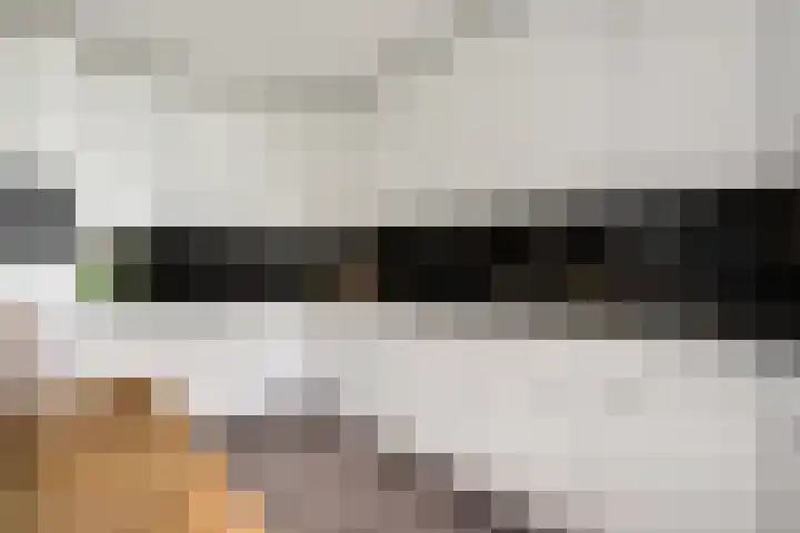 Primulabeemd 5 Maastricht thumbnail 14