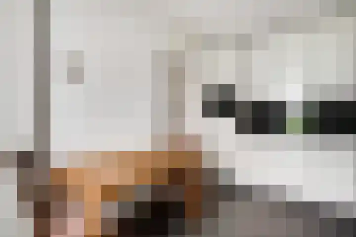 Primulabeemd 5 Maastricht thumbnail 15