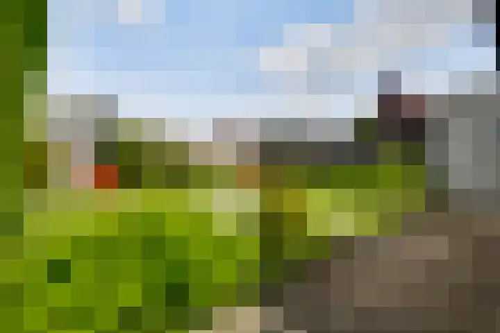 Primulabeemd 5 Maastricht thumbnail 18