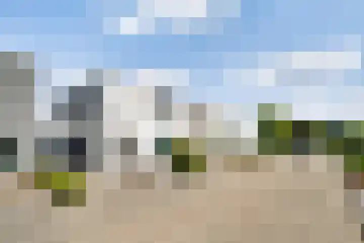 Primulabeemd 5 Maastricht thumbnail 27