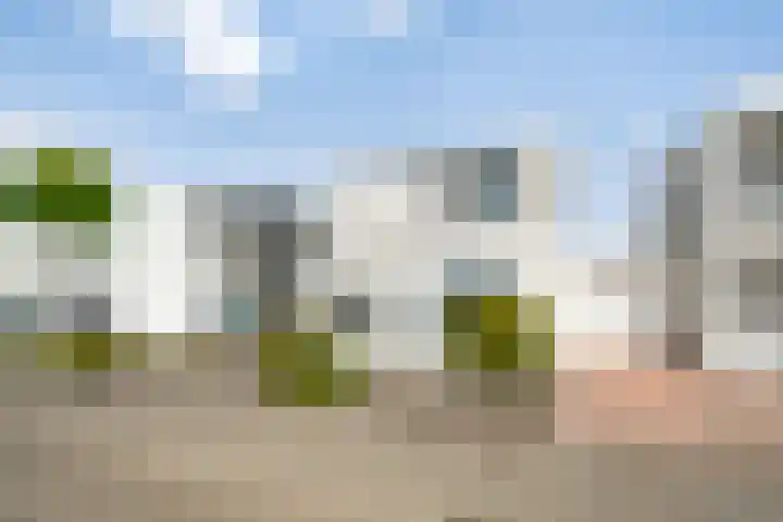 Primulabeemd 5 Maastricht thumbnail 30