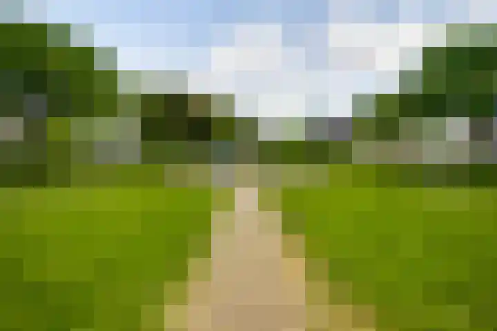 Primulabeemd 5 Maastricht thumbnail 31