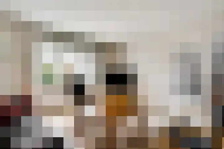 Primulabeemd 5 Maastricht thumbnail 7