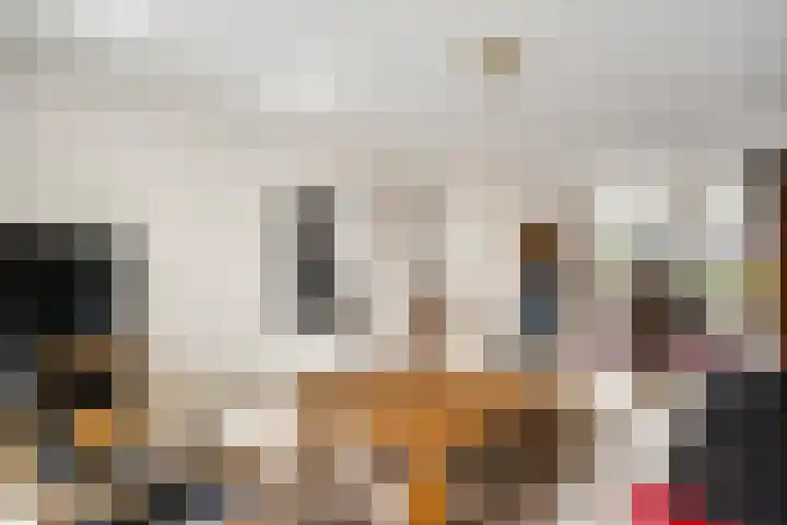 Primulabeemd 5 Maastricht thumbnail 8