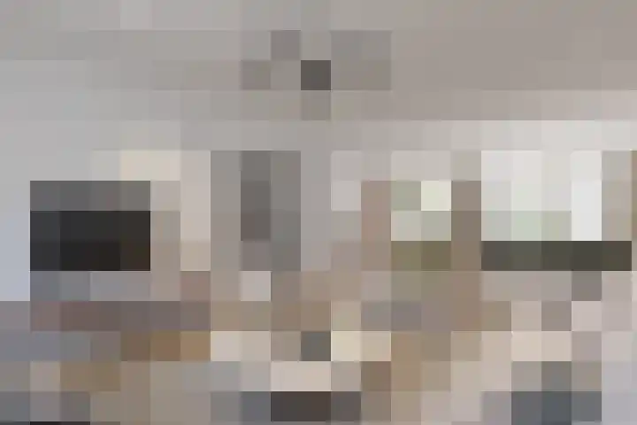 Primulabeemd 5 Maastricht thumbnail 9