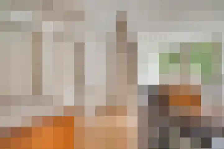 Primulastraat 1 Leende thumbnail 18