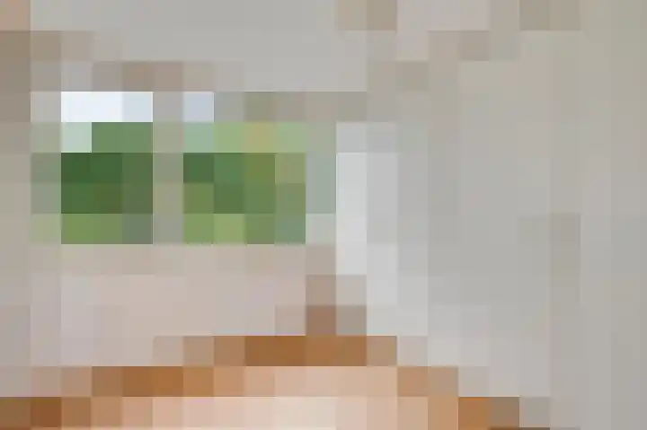 Primulastraat 1 Leende thumbnail 24