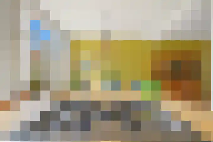 Primulastraat 10 Den Haag thumbnail 17