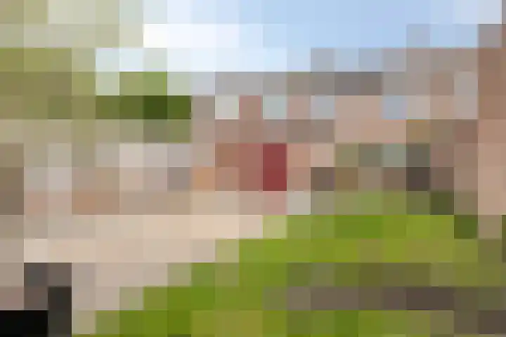 Primulastraat 10 Steenbergen thumbnail 30