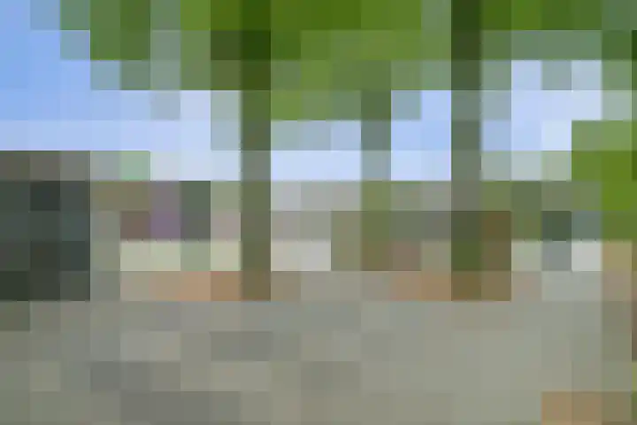 Primulastraat 10 Steenbergen thumbnail 35