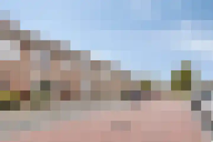 Primulastraat 10 Steenbergen thumbnail 4
