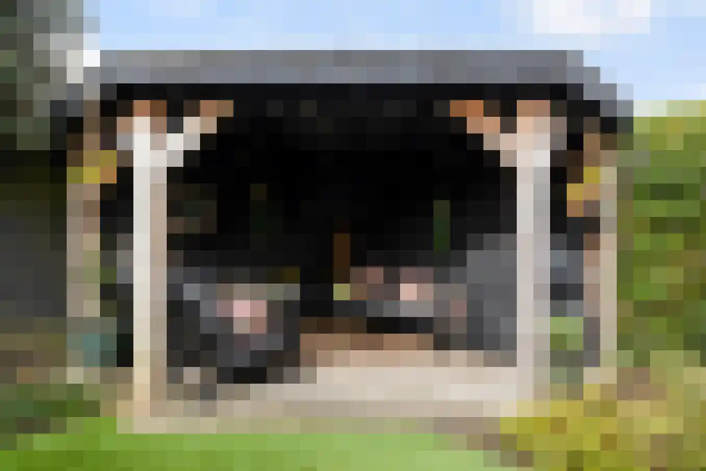 Primulastraat 20 Woerden thumbnail 41