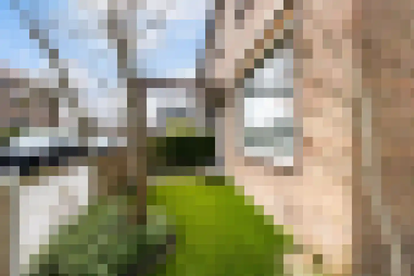 Primulastraat 20 Woerden thumbnail 44