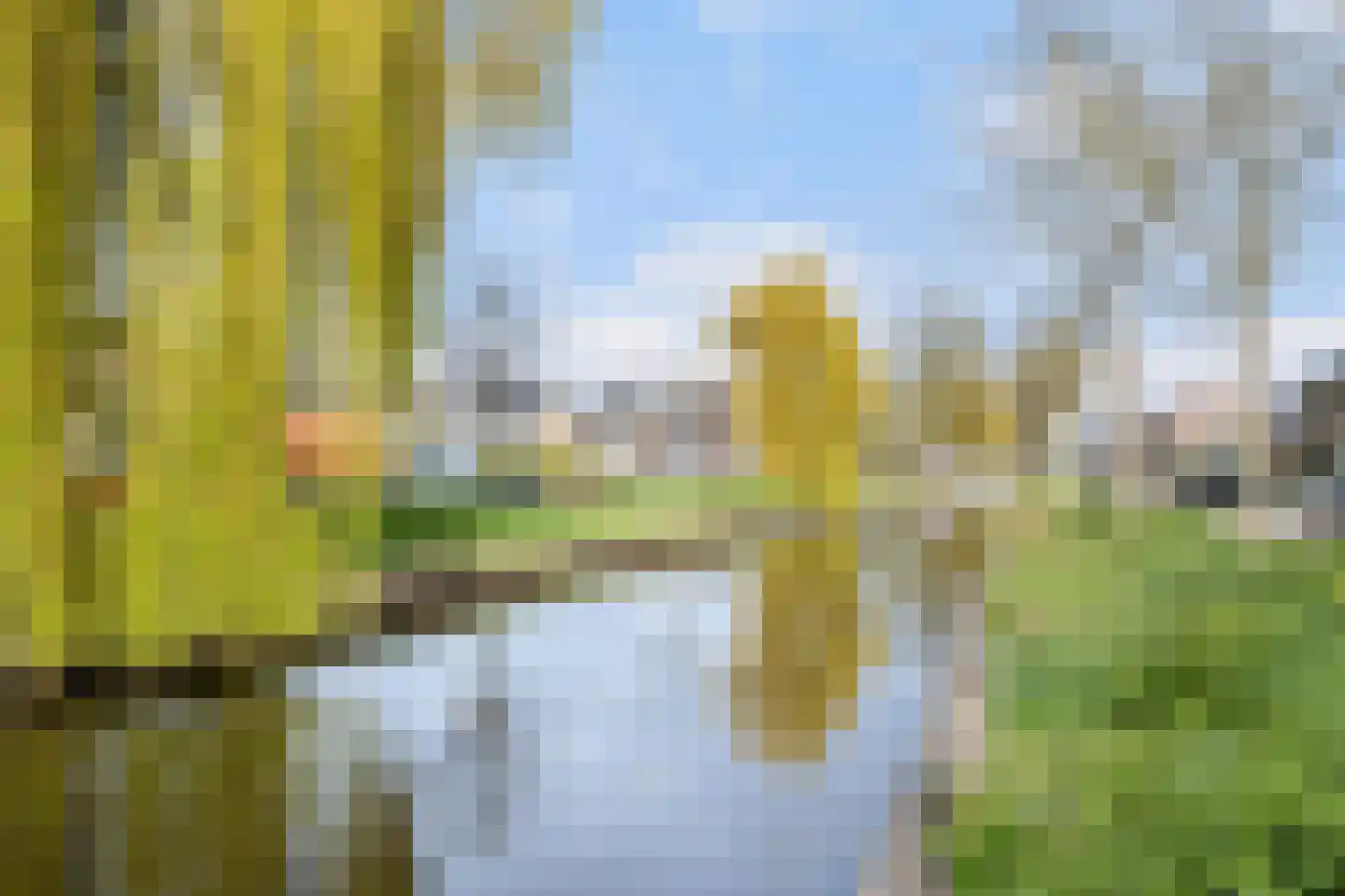 Primulastraat 20 Woerden thumbnail 47