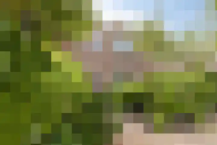 Primulastraat 21 Purmerend thumbnail 5