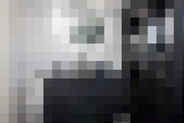 Primulastraat 22 Purmerend thumbnail 33