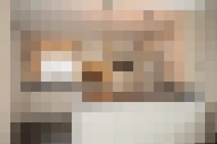 Primulastraat 35 Wierden thumbnail 15
