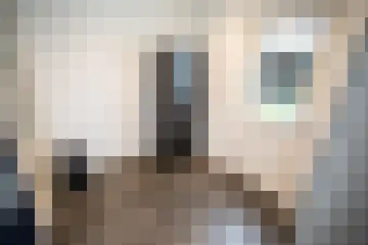 Primulastraat 35 Wierden thumbnail 24