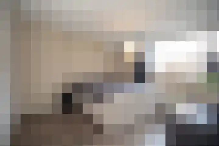 Primulastraat 35 Wierden thumbnail 26