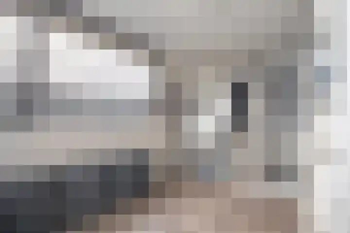Primulastraat 35 Wierden thumbnail 30