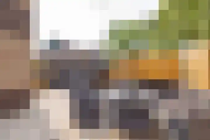 Primulastraat 35 Wierden thumbnail 34