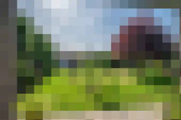 Primulastraat 35 Wierden thumbnail 42