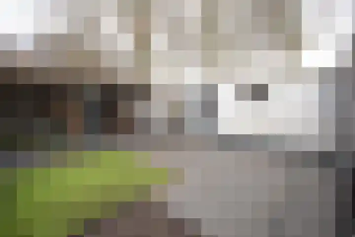 Primulastraat 35 Wierden thumbnail 42