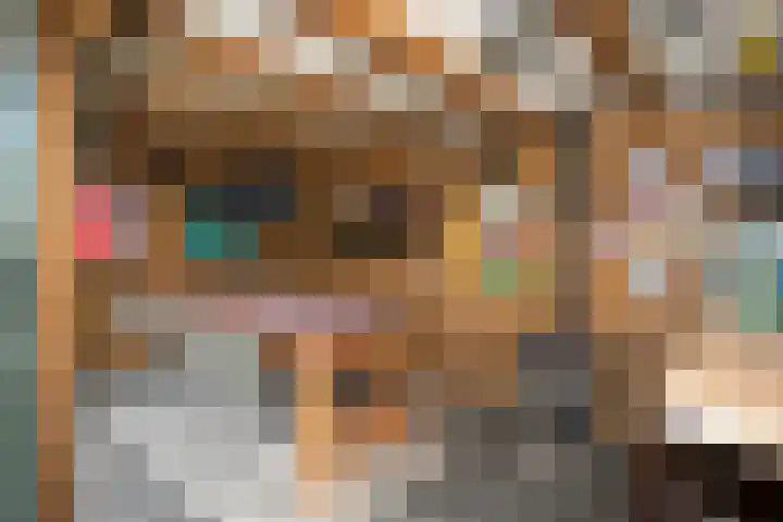 Primulastraat 35 Wierden thumbnail 44