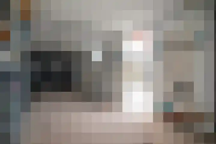 Primulastraat 35 Wierden thumbnail 48