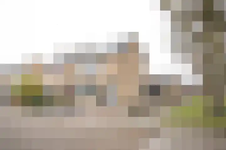Primulastraat 35 Wierden thumbnail 5